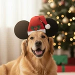 Nwt Disney Rubies Pets Mickey Red Santa Hat Mistletoe Pet Ears M/l. Fixed Price $15.00.