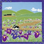 Yamaco 88589 Small Furoshiki Iris Fabric Wrap 19.7"x19.7" Japanese Gift Cloth. Fixed Price $21.31.