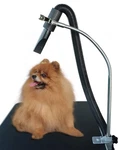 Shelandy Dog Pet Grooming Table Hair Dryer Stand Hose Tube Holder Silver. Fixed Price $56.73.