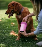 Dexas Mudbuster Portable Dog Paw Washer/paw Cleaner, Medium, Fuchsia New. Fixed Price $22.97.