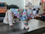 Luxury Cartoon Tawny Bear Cotton Dog Polo Shirt Pet Summer Party Stylish Clothes. Fixed Price $14.44.