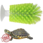 Forzena Turtle Brush Green Suction Cup Tank Cleaning. Fixed Price $20.00.