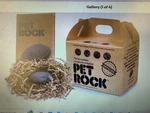 Pet Rock One Genuine Pedigree. Fixed Price $41.99.